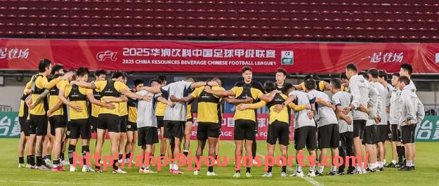 J9九游会登录入口-比利时球星维特塞尔曾效力的德甲球队详解