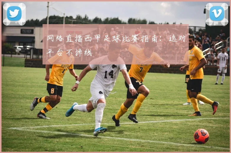 网络直播西甲足球比赛指南：选对平台不掉线