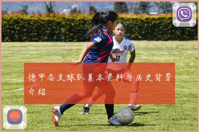 德甲各支球队基本资料与历史背景介绍